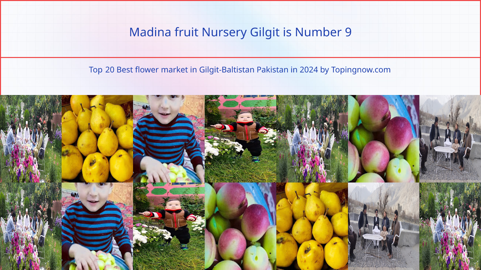 Madina fruit Nursery Gilgit: Top 20 Best flower market in Gilgit-Baltistan Pakistan in 2025