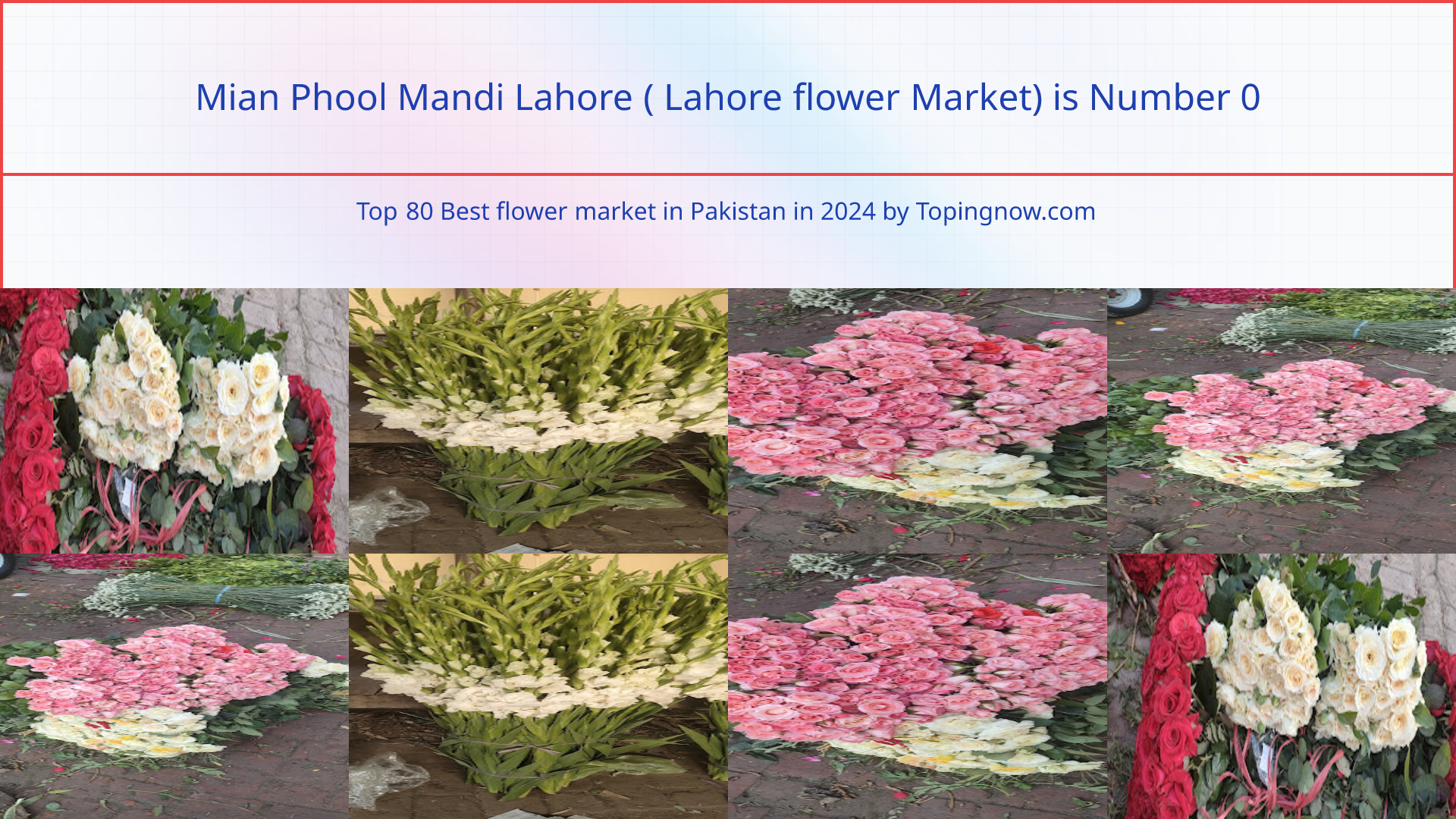 Mian Phool Mandi Lahore ( Lahore flower Market): Top 80 Best flower market in Pakistan in 2024