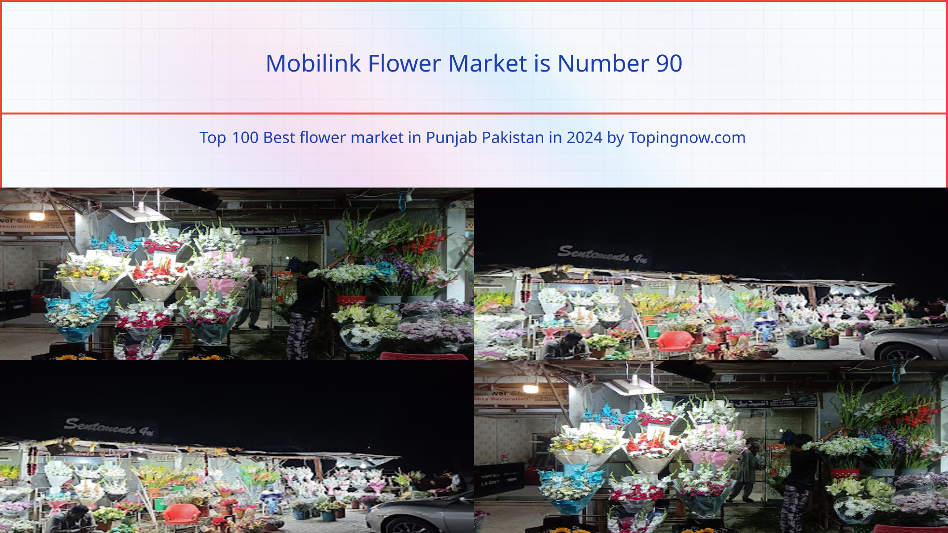 Mobilink Flower Market: Top 100 Best flower market in Punjab Pakistan in 2025