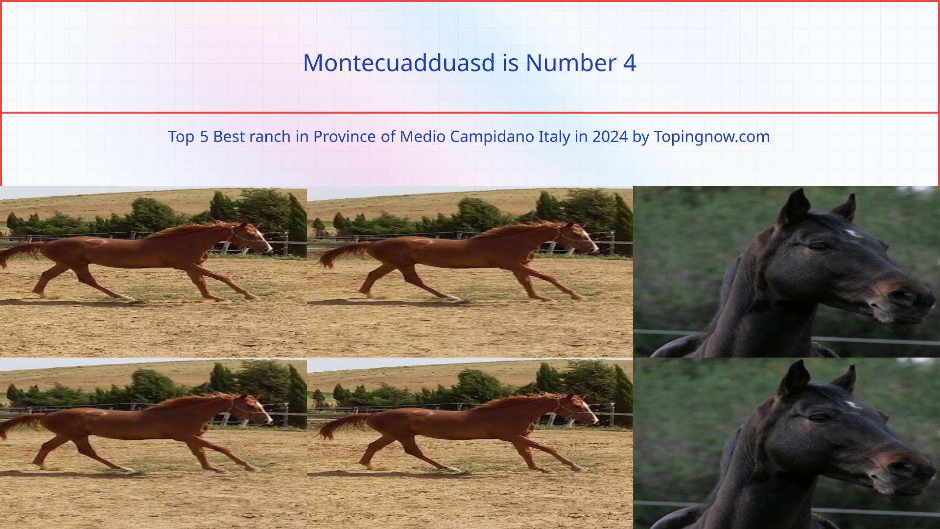 Montecuadduasd: Top 5 Best ranch in Province of Medio Campidano Italy in 2024