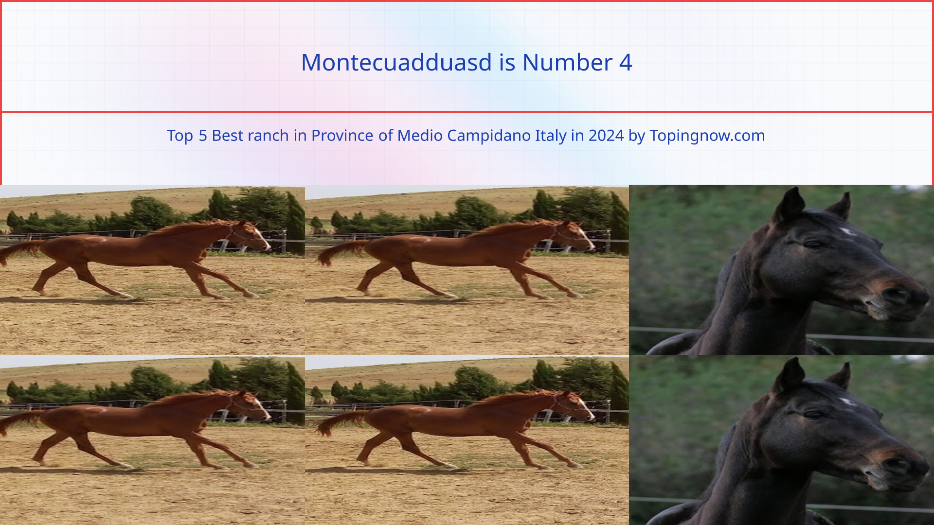 Montecuadduasd: Top 5 Best ranch in Province of Medio Campidano Italy in 2025