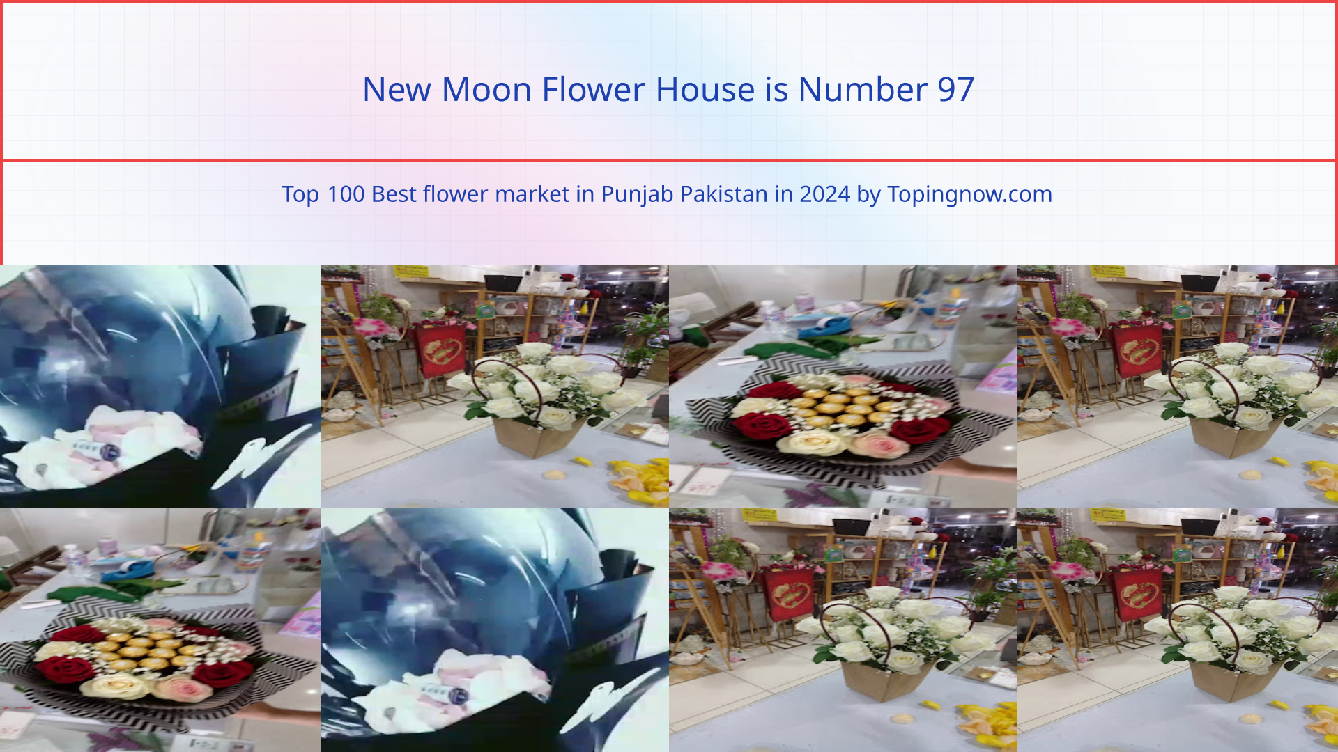 New Moon Flower House: Top 100 Best flower market in Punjab Pakistan in 2024