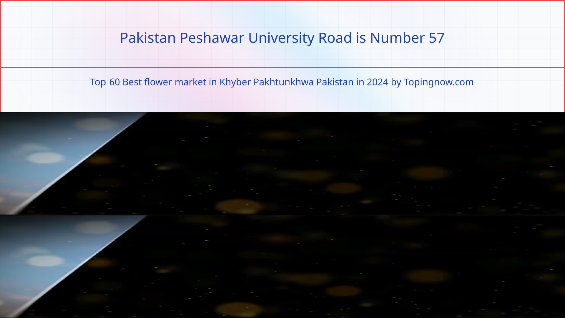 Pakistan Peshawar University Road: Top 60 Best flower market in Khyber Pakhtunkhwa Pakistan in 2024