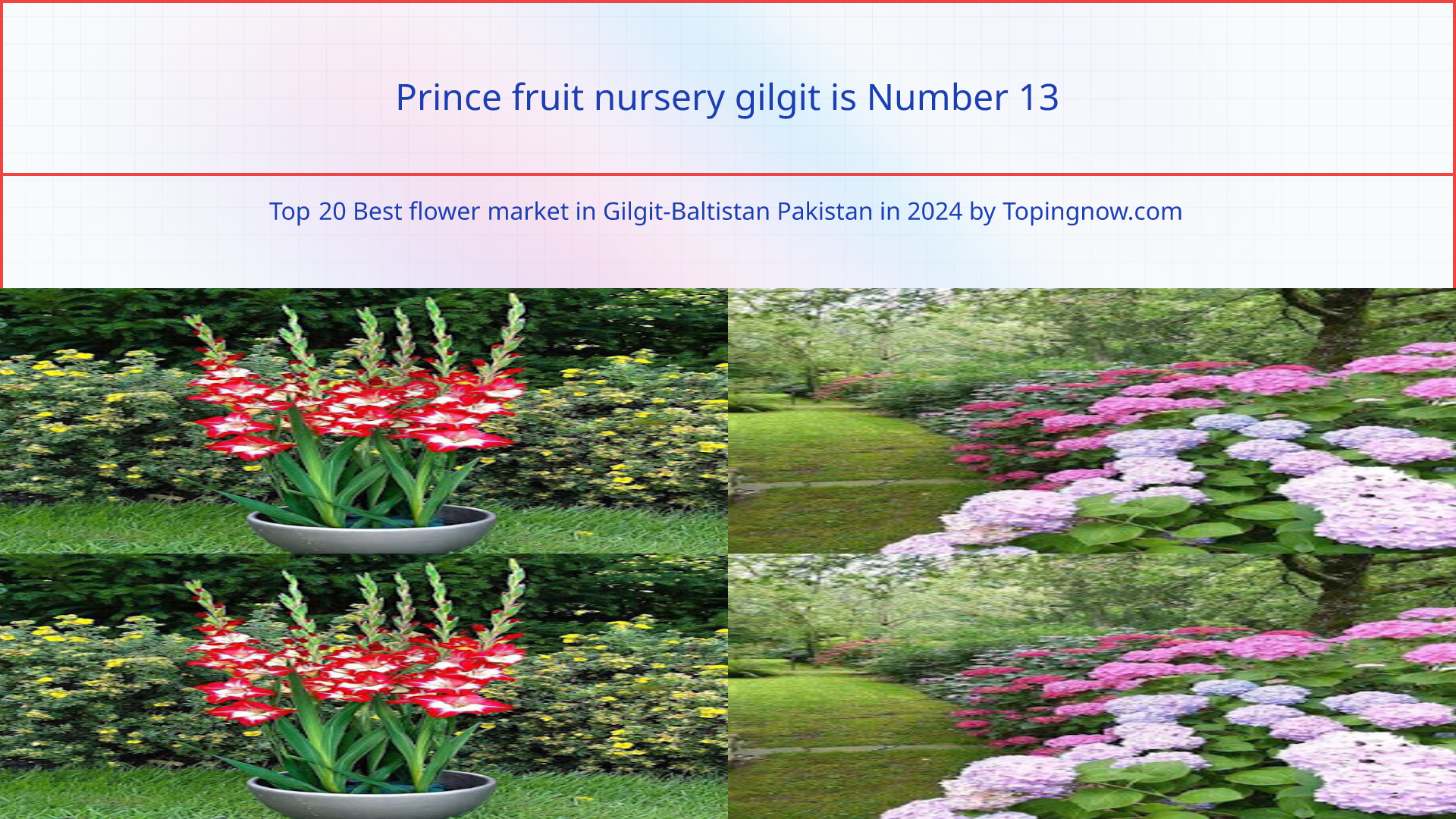 Prince fruit nursery gilgit: Top 20 Best flower market in Gilgit-Baltistan Pakistan in 2024