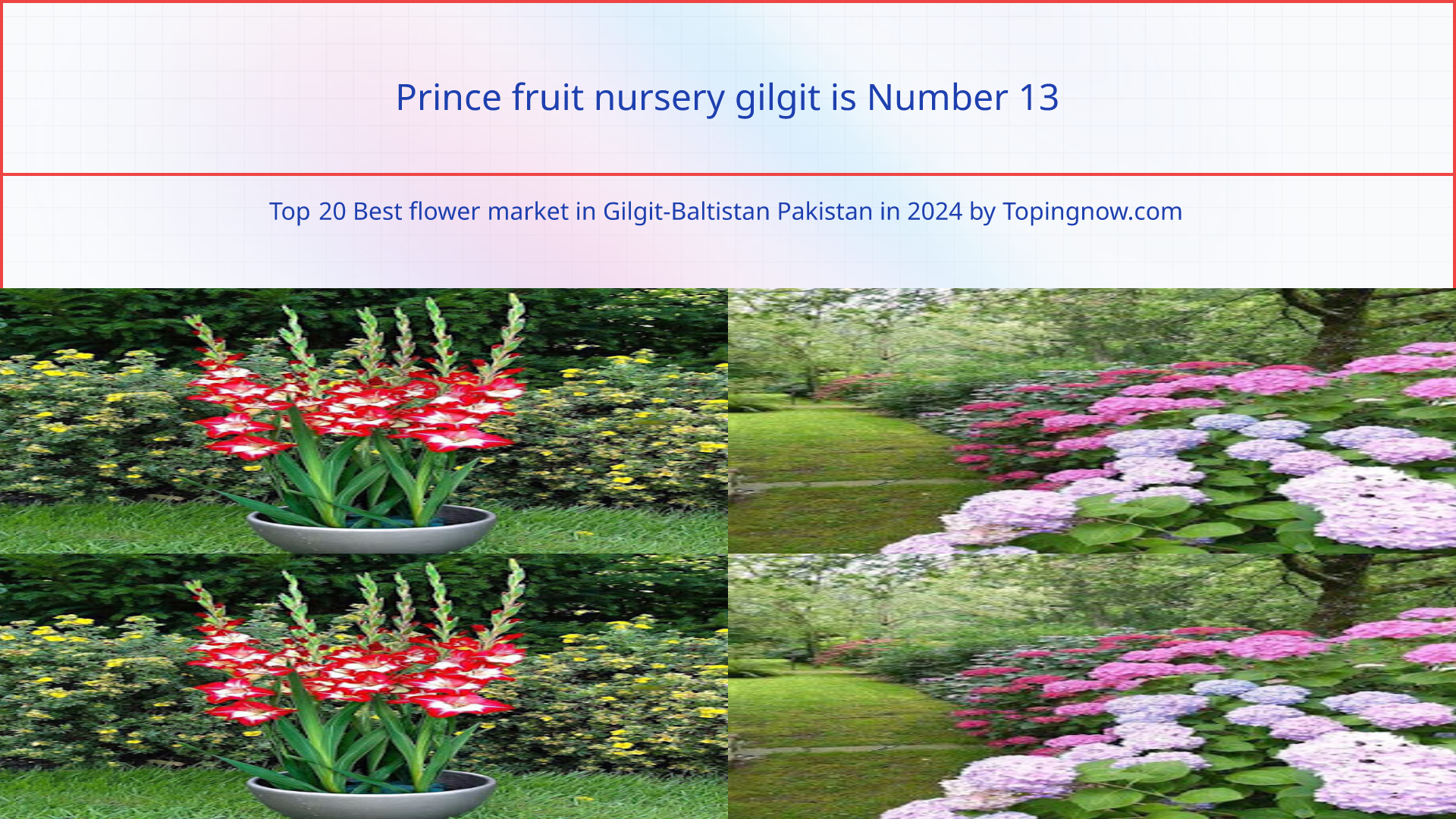 Prince fruit nursery gilgit: Top 20 Best flower market in Gilgit-Baltistan Pakistan in 2025