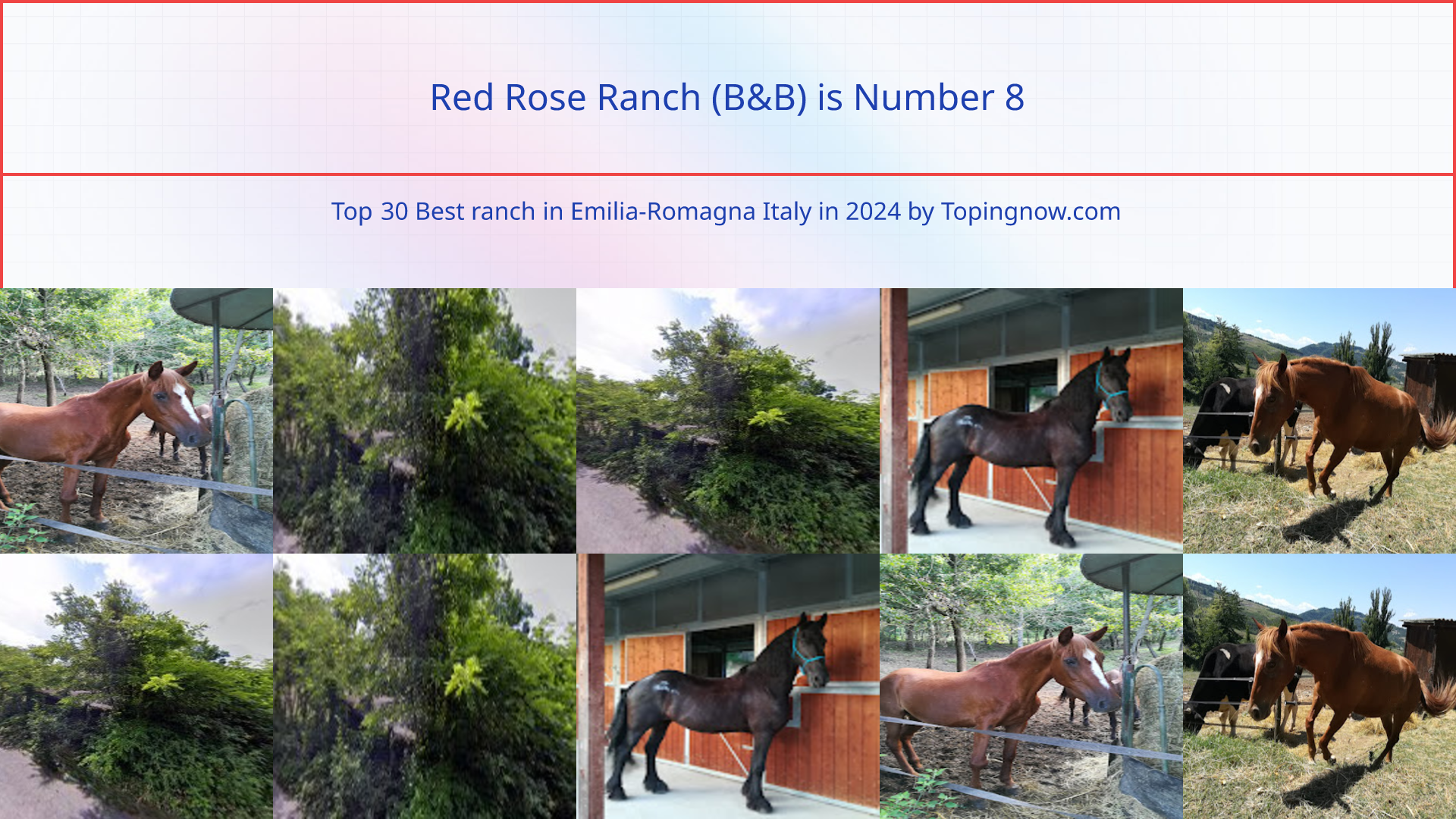 Red Rose Ranch (B&B): Top 30 Best ranch in Emilia-Romagna Italy in 2024