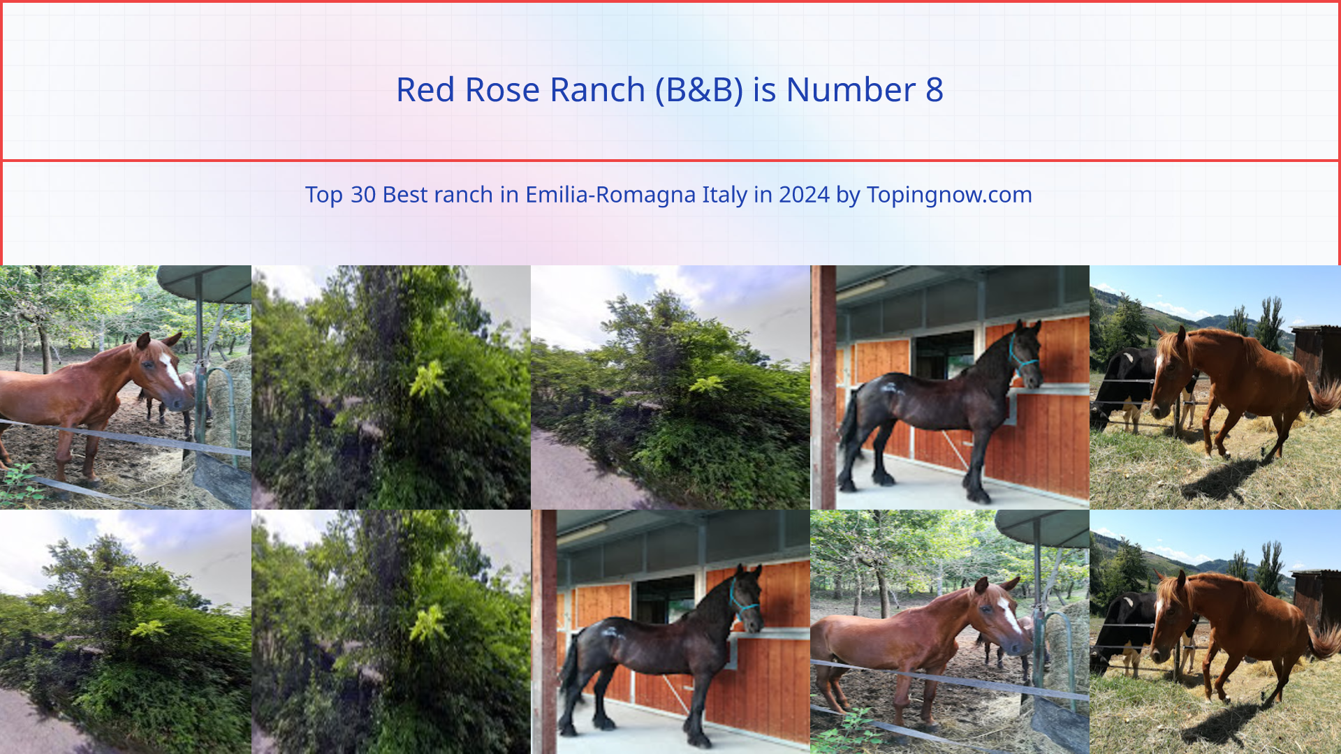 Red Rose Ranch (B&B): Top 30 Best ranch in Emilia-Romagna Italy in 2025