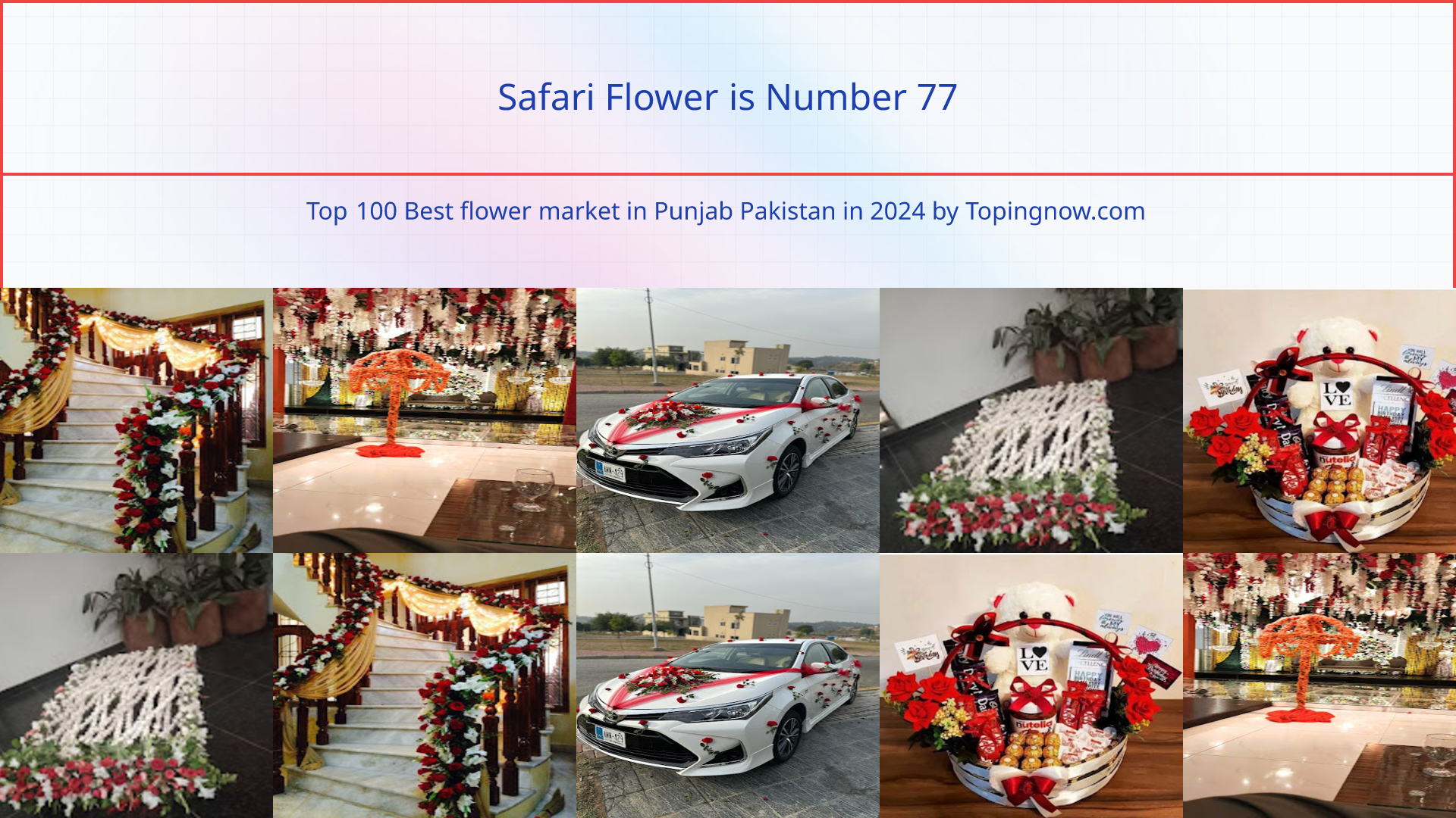Safari Flower: Top 100 Best flower market in Punjab Pakistan in 2024