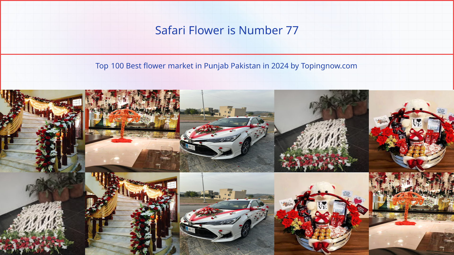 Safari Flower: Top 100 Best flower market in Punjab Pakistan in 2025