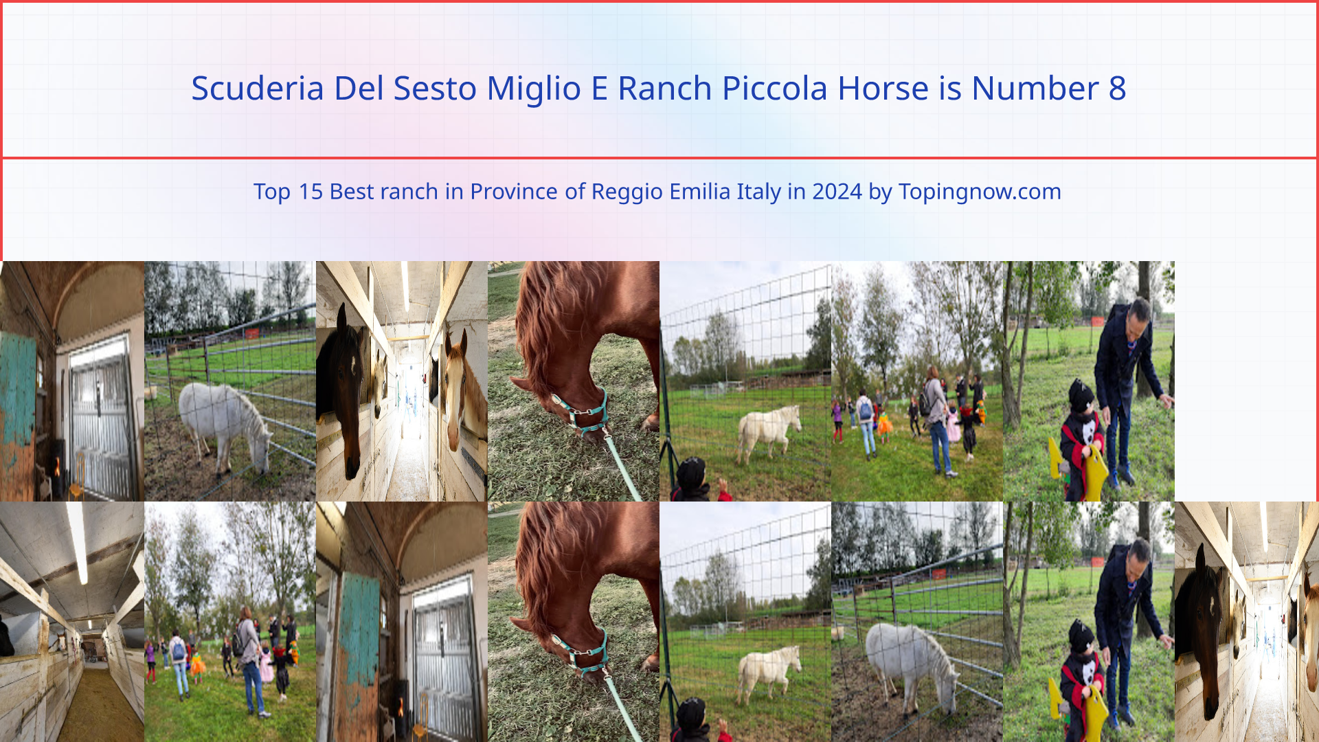 Scuderia Del Sesto Miglio E Ranch Piccola Horse: Top 15 Best ranch in Province of Reggio Emilia Italy in 2024