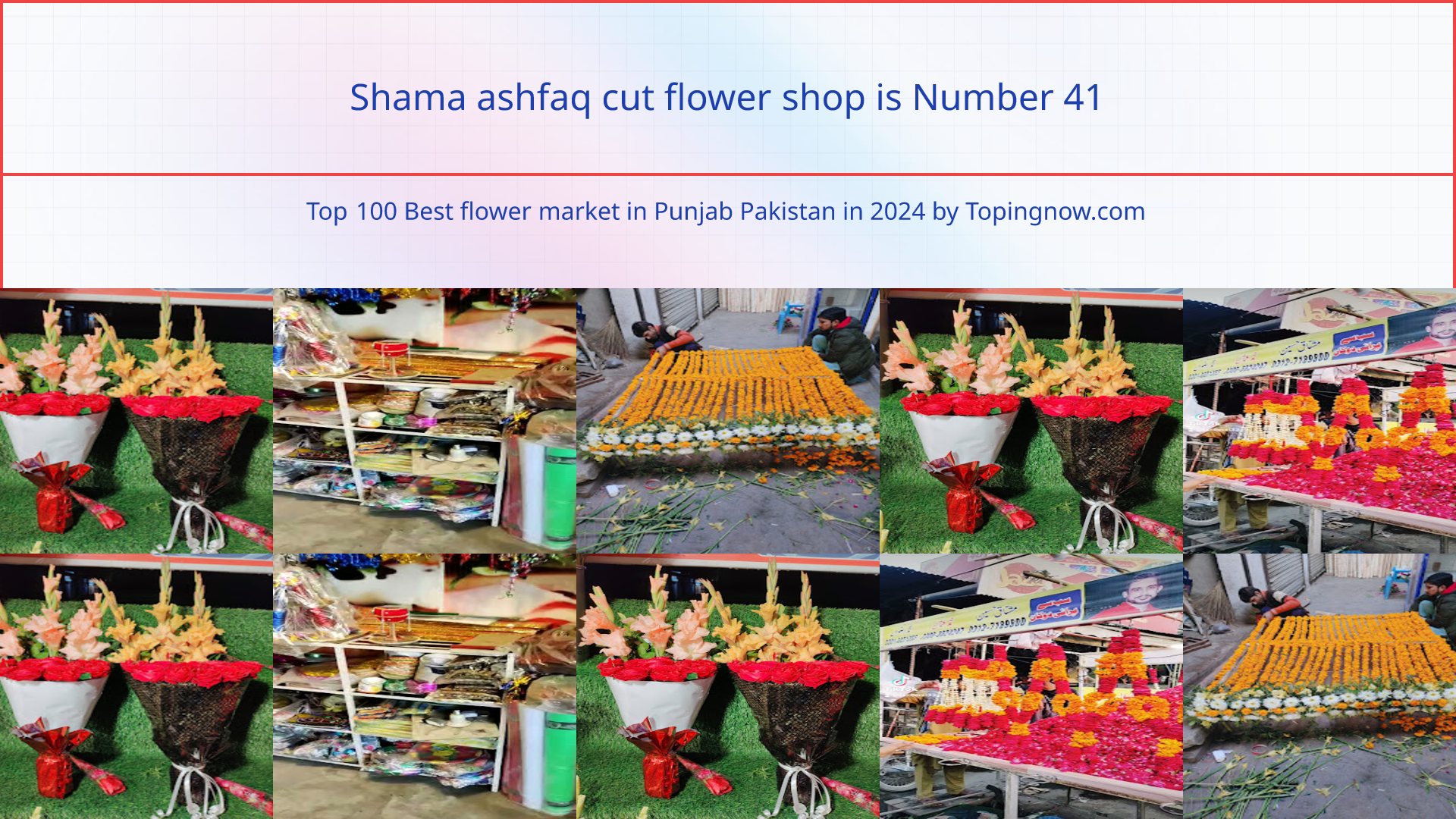 Shama ashfaq cut flower shop: Top 100 Best flower market in Punjab Pakistan in 2024