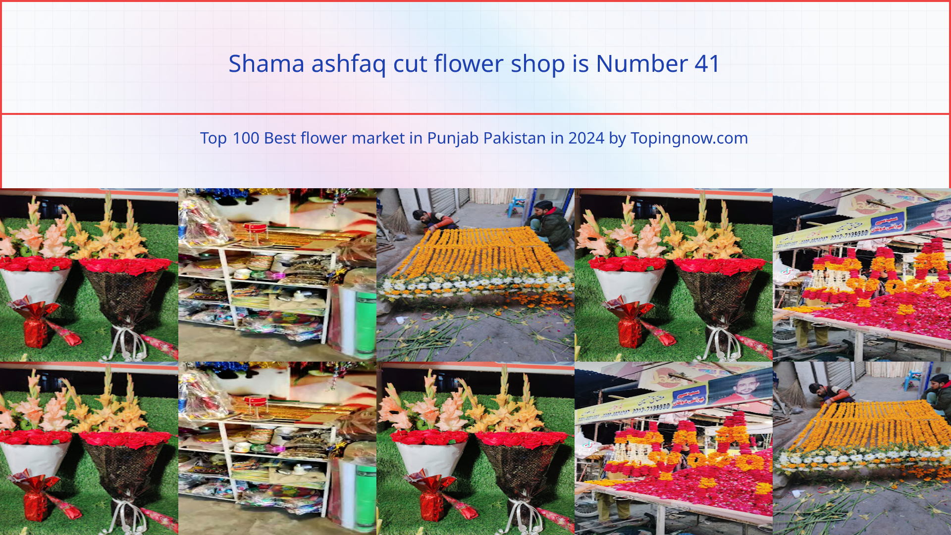 Shama ashfaq cut flower shop: Top 100 Best flower market in Punjab Pakistan in 2025