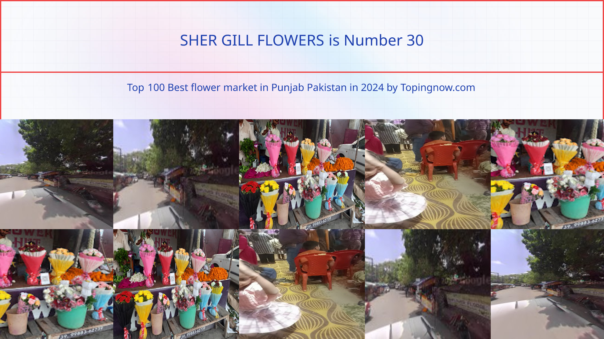 SHER GILL FLOWERS: Top 100 Best flower market in Punjab Pakistan in 2024
