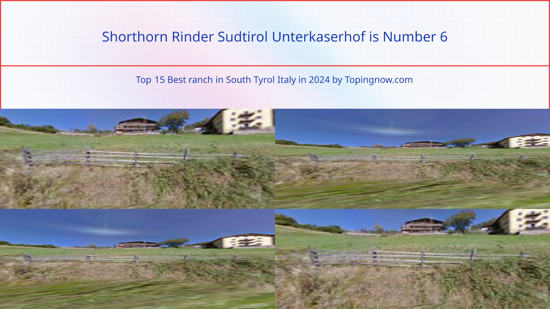 Shorthorn Rinder Sudtirol Unterkaserhof: Top 15 Best ranch in South Tyrol Italy in 2024