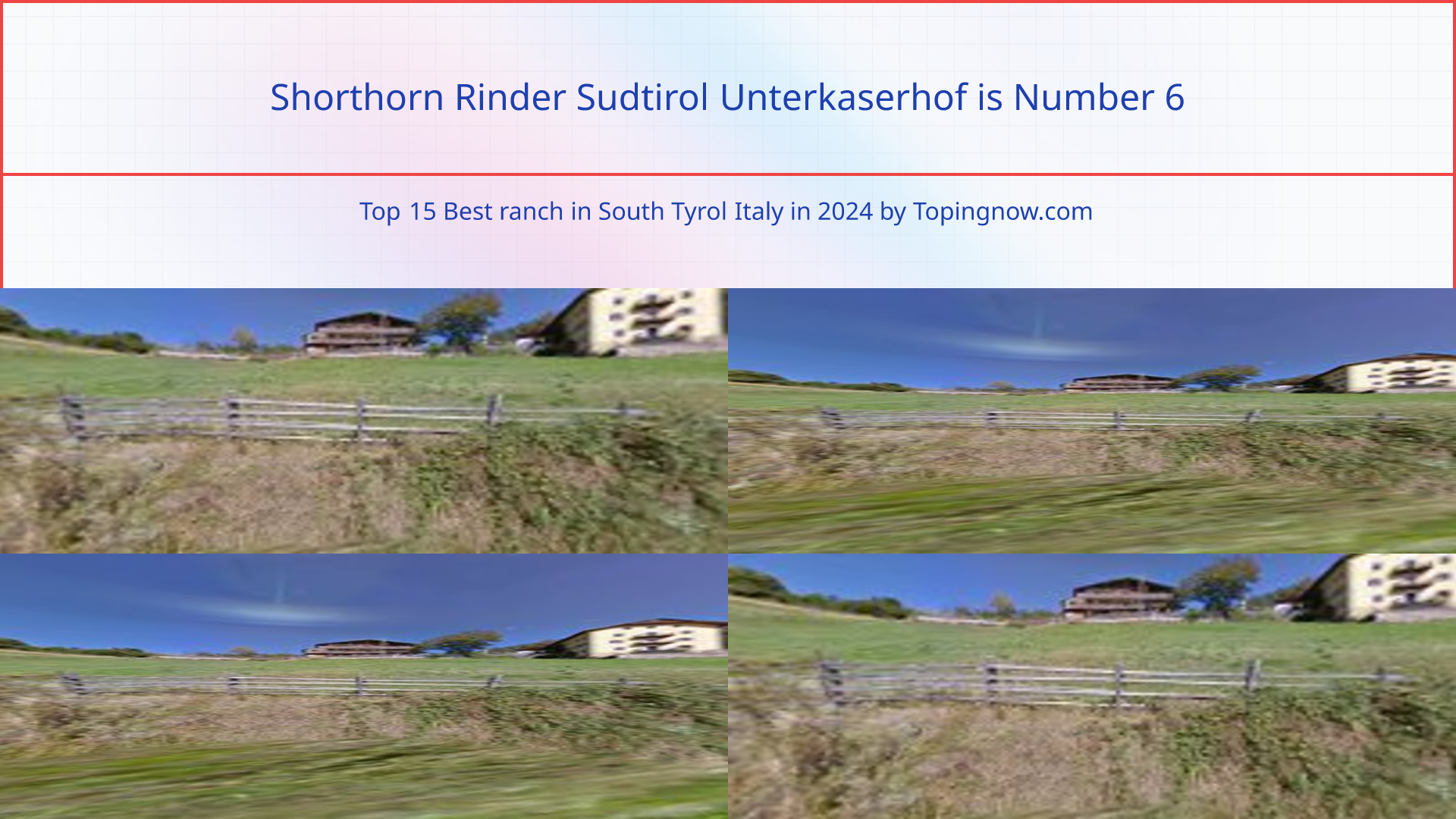 Shorthorn Rinder Sudtirol Unterkaserhof: Top 15 Best ranch in South Tyrol Italy in 2025