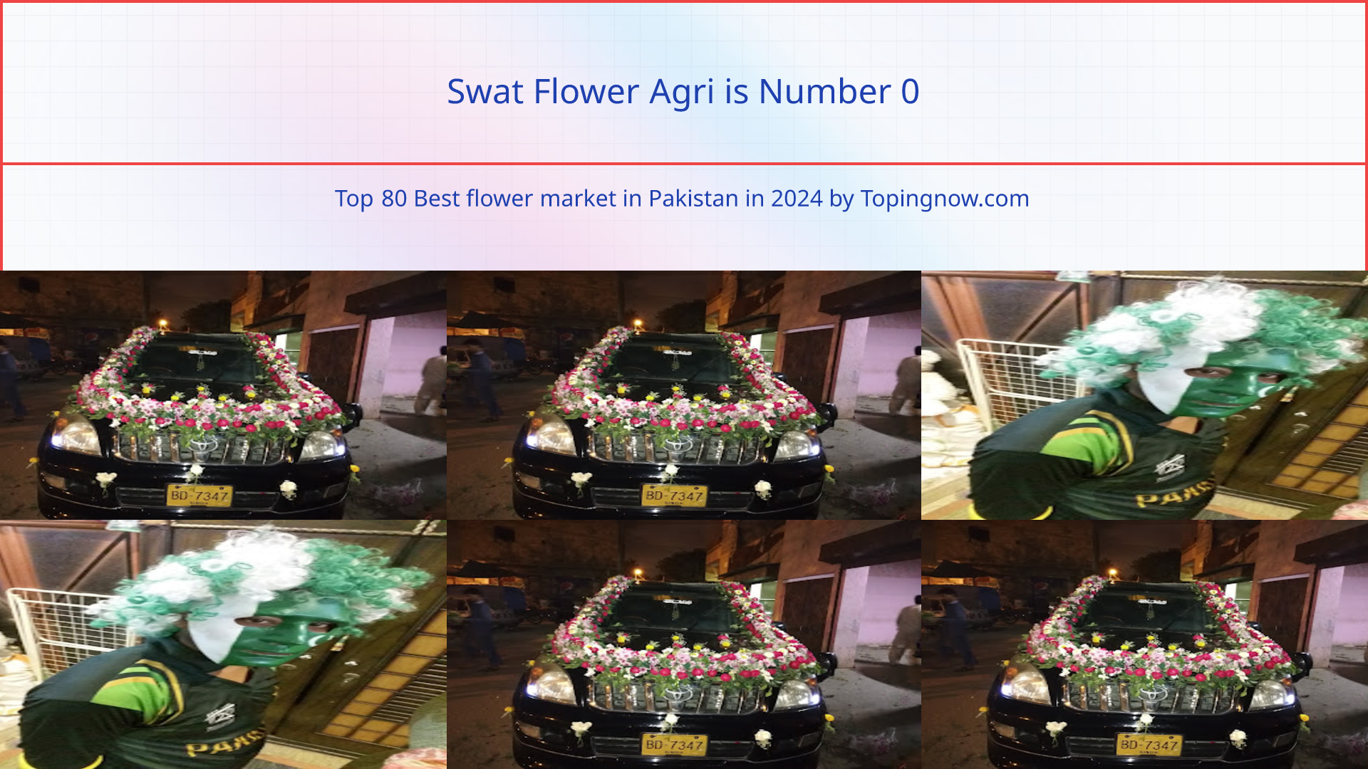 Swat Flower Agri: Top 80 Best flower market in Pakistan in 2024
