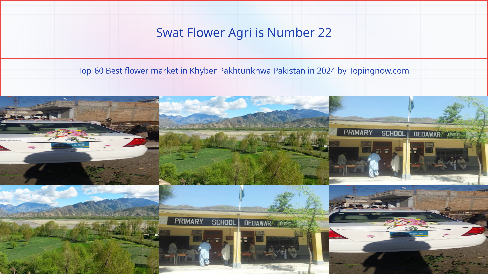 Swat Flower Agri: Top 60 Best flower market in Khyber Pakhtunkhwa Pakistan in 2024