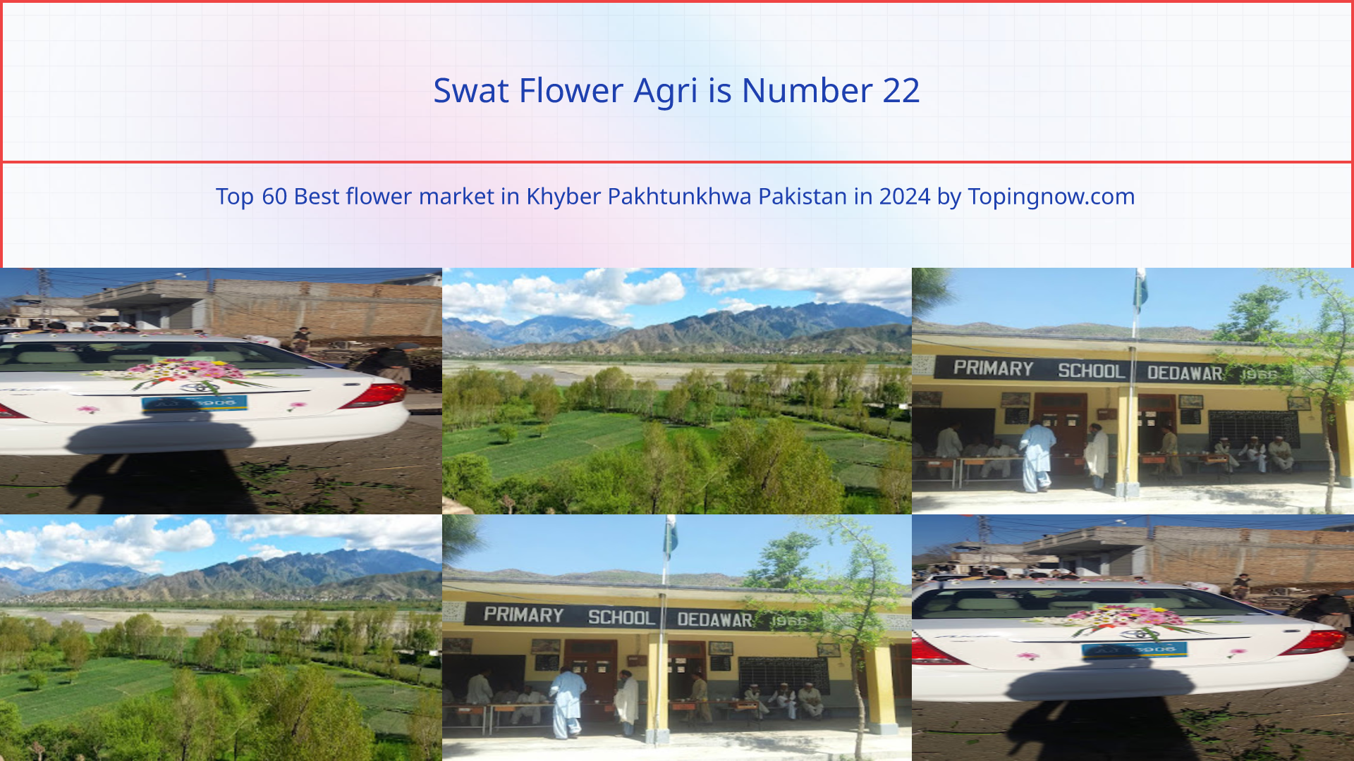 Swat Flower Agri: Top 60 Best flower market in Khyber Pakhtunkhwa Pakistan in 2025