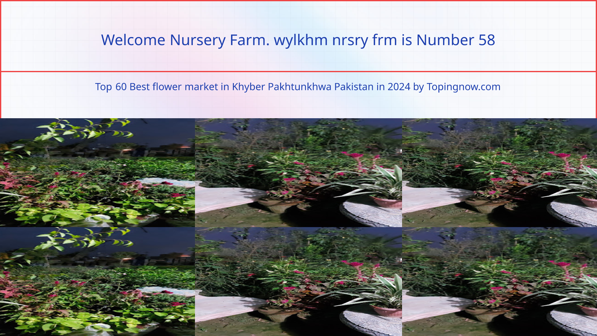 Welcome Nursery Farm. wylkhm nrsry frm: Top 60 Best flower market in Khyber Pakhtunkhwa Pakistan in 2024