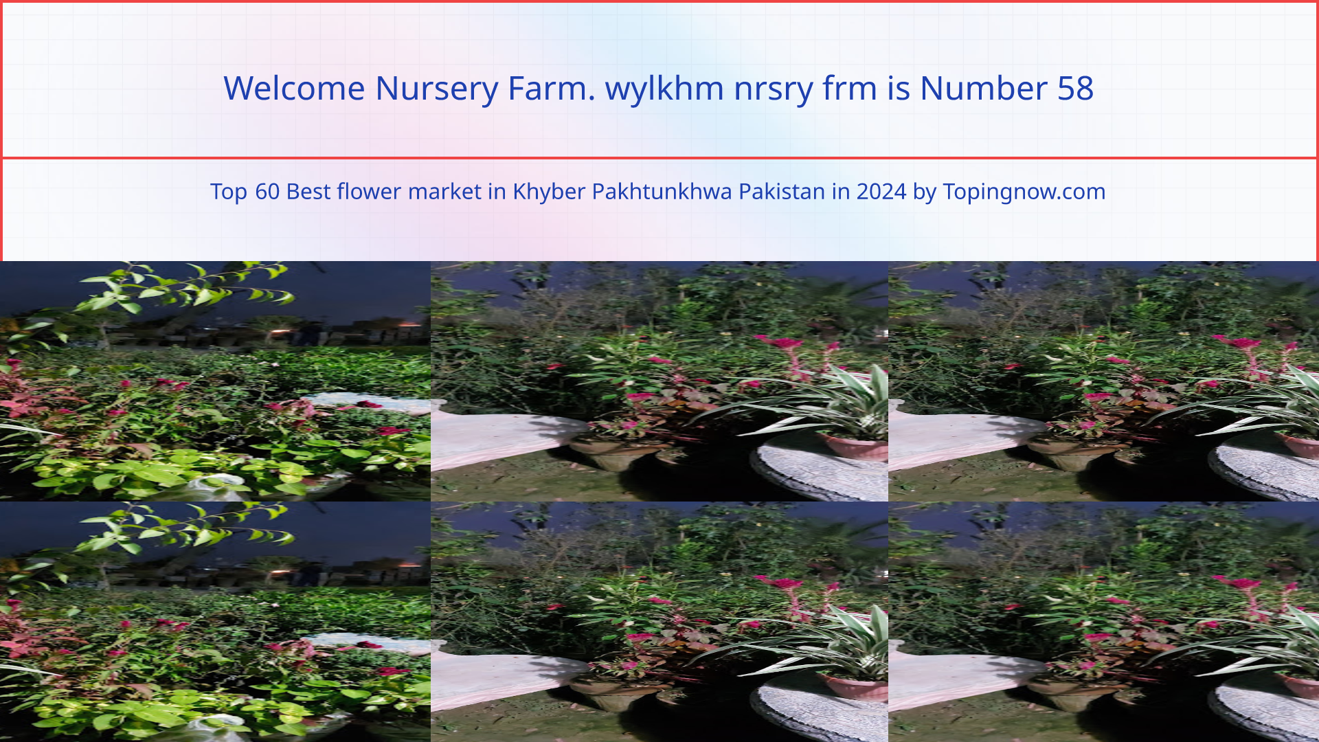 Welcome Nursery Farm. wylkhm nrsry frm: Top 60 Best flower market in Khyber Pakhtunkhwa Pakistan in 2025