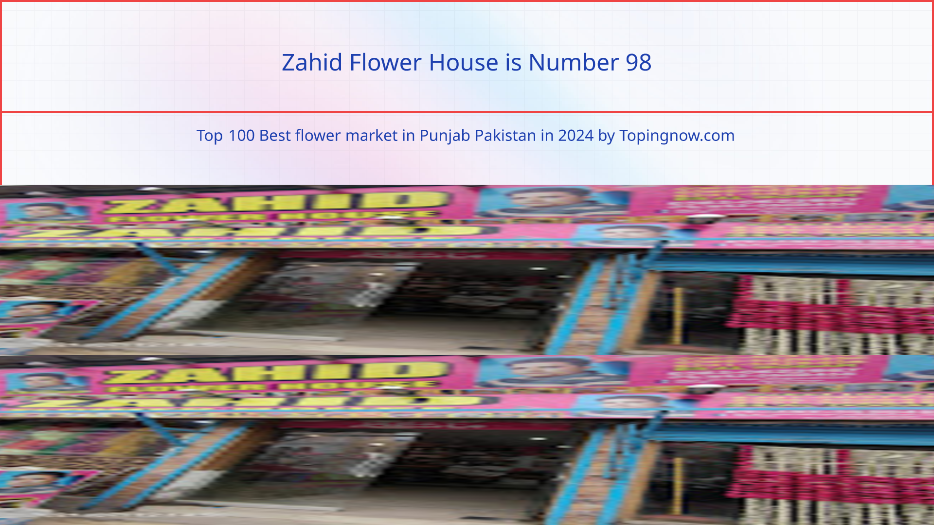 Zahid Flower House: Top 100 Best flower market in Punjab Pakistan in 2024
