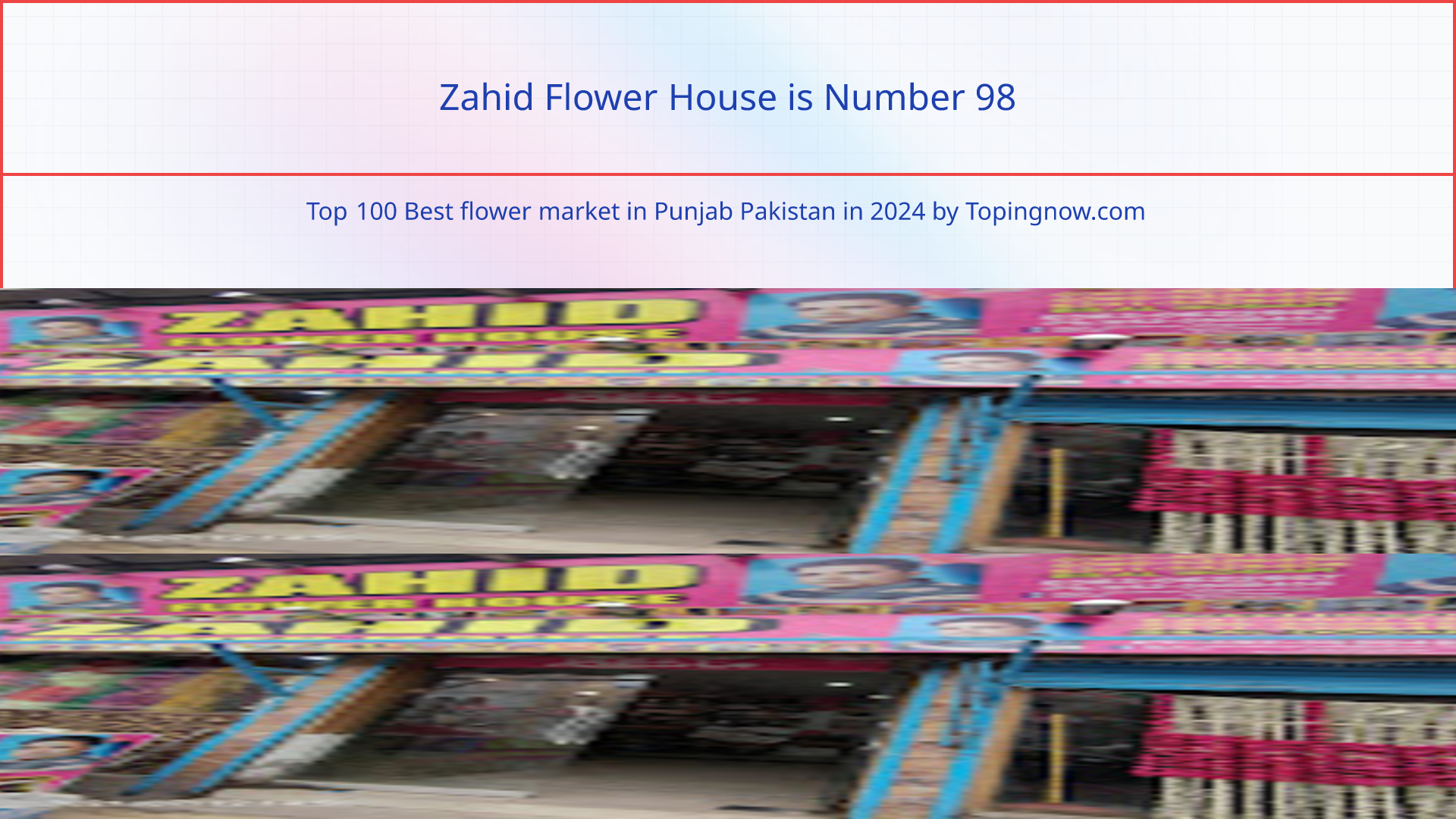 Zahid Flower House: Top 100 Best flower market in Punjab Pakistan in 2025