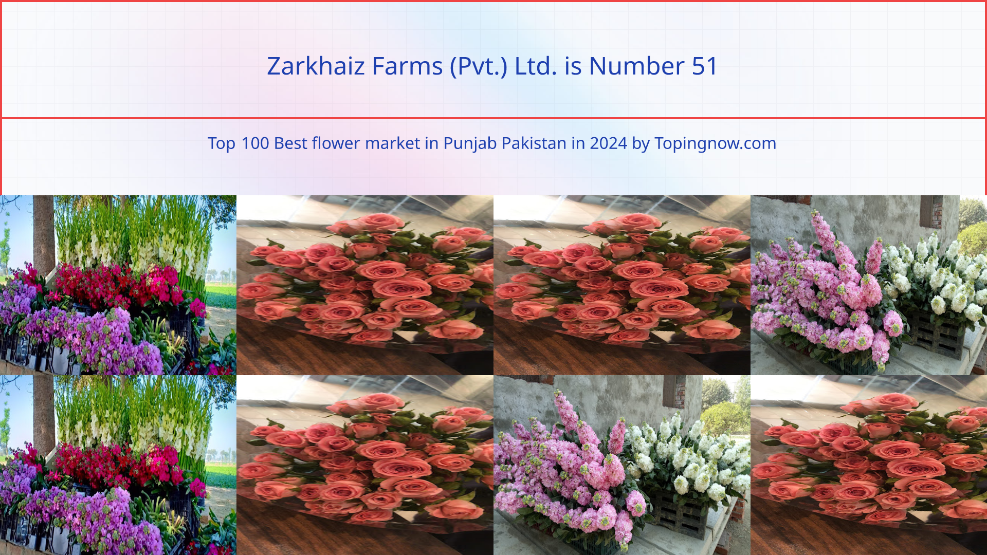 Zarkhaiz Farms (Pvt.) Ltd.: Top 100 Best flower market in Punjab Pakistan in 2024